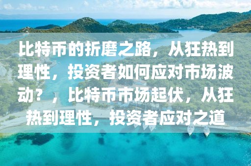 比特币的折磨之路，从狂热到理性，投资者如何应对市场波动？，比特币市场起伏，从狂热到理性，投资者应对之道