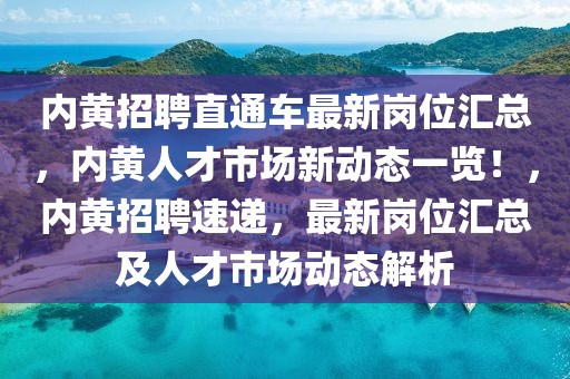 内黄招聘直通车最新岗位汇总，内黄人才市场新动态一览！，内黄招聘速递，最新岗位汇总及人才市场动态解析