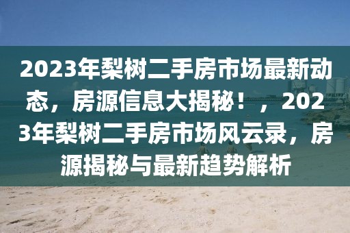 安心县最新新闻，安心县全面发展新貌：政治、经济、社会、文化与环保齐头并进