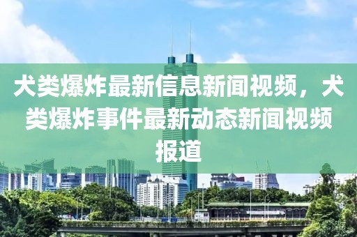 湖北毛姓字辈排行最新揭秘，传承千年的家族文化一览，湖北毛姓千年字辈传承揭秘，家族文化脉络新探