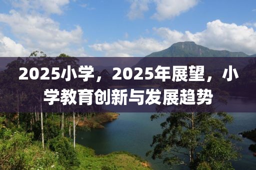 2025小学，2025年展望，小学教育创新与发展趋势