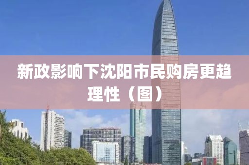 新政影响下沈阳市民购房更趋理性（图）