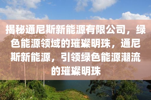 揭秘通尼斯新能源有限公司，绿色能源领域的璀璨明珠，通尼斯新能源，引领绿色能源潮流的璀璨明珠