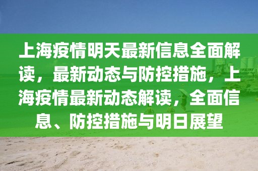 猪九戒最新信息，深度解析与独特视角，猪九戒最新动态，深度解析与独特视角观察