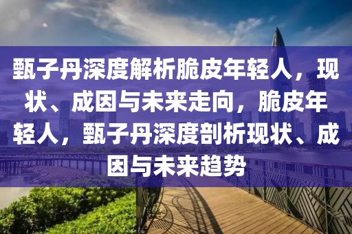 甄子丹深度解析脆皮年轻人，现状、成因与未来走向，脆皮年轻人，甄子丹深度剖析现状、成因与未来趋势