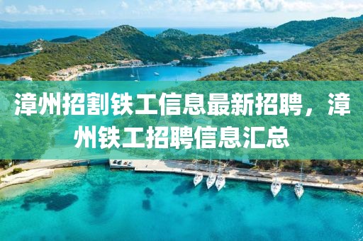 关于吴起征地计划，走向未来的蓝图（到2025年），吴起征地计划，未来蓝图展望至2025年