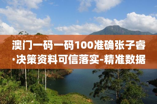 澳门一码一码100准确张子睿·决策资料可信落实-精准数据