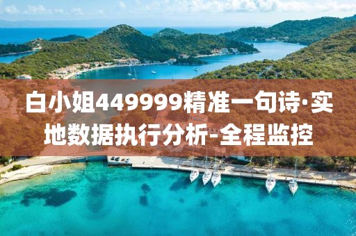 白小姐449999精准一句诗·实地数据执行分析-全程监控