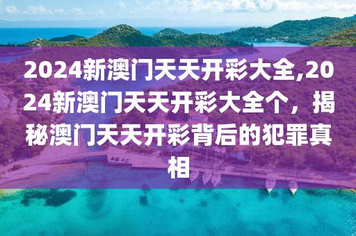 贵阳美国大选最新信息，贵阳美国大选最新动态报道