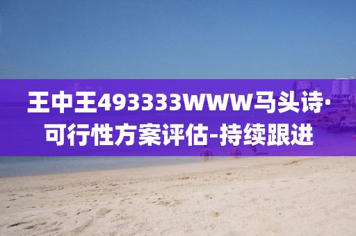 王中王493333WWW马头诗·可行性方案评估-持续跟进