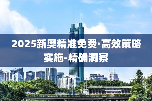 2025新奥精准免费·高效策略实施-精确洞察