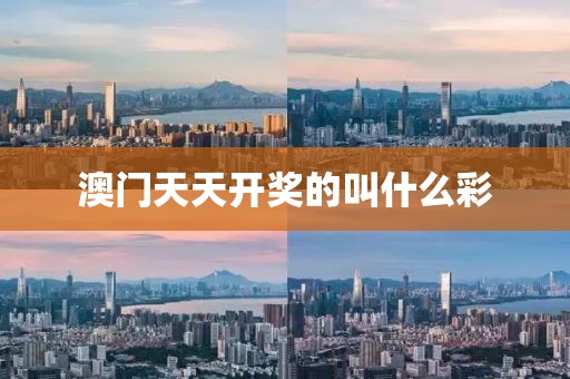 南京科技职业学院2025寒假，2025南京科技职业学院寒假特辑