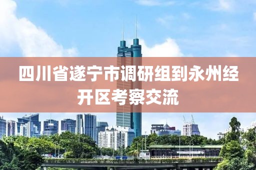 四川省遂宁市调研组到永州经开区考察交流