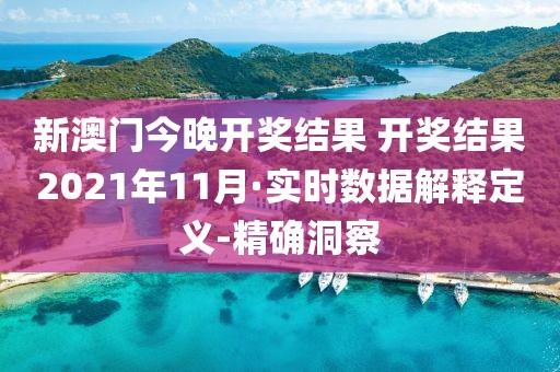 新澳门今晚开奖结果 开奖结果2021年11月·实时数据解释定义-精确洞察