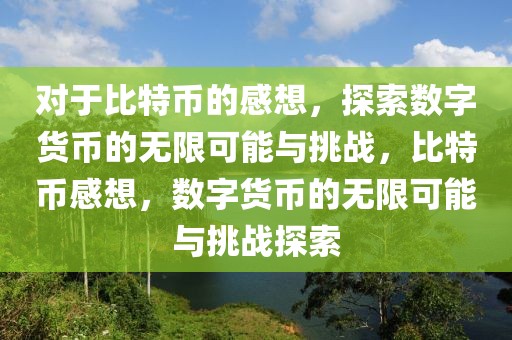 对于比特币的感想，探索数字货币的无限可能与挑战，比特币感想，数字货币的无限可能与挑战探索