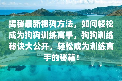 揭秘最新相狗方法，如何轻松成为狗狗训练高手，狗狗训练秘诀大公开，轻松成为训练高手的秘籍！