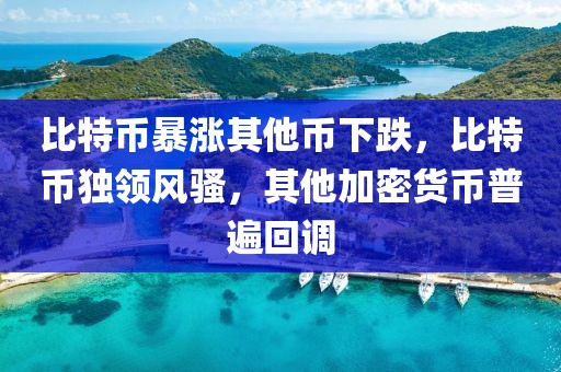 比特币暴涨其他币下跌，比特币独领风骚，其他加密货币普遍回调