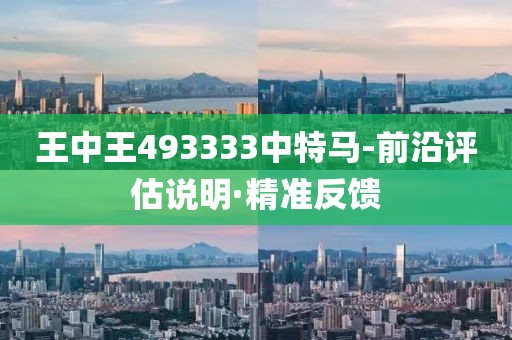 王中王493333中特马-前沿评估说明·精准反馈