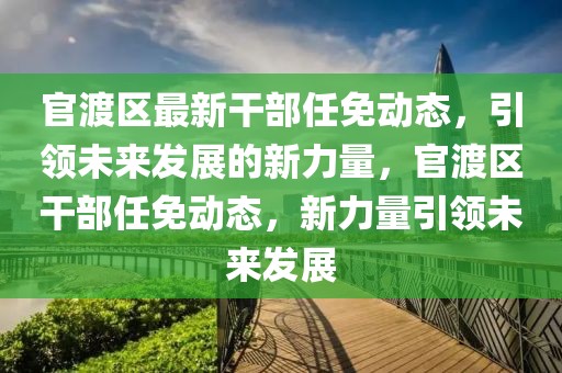 秋粮最新消息，秋粮丰收在望，最新秋粮动态速览