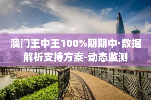 澳门王中王100%期期中·数据解析支持方案-动态监测