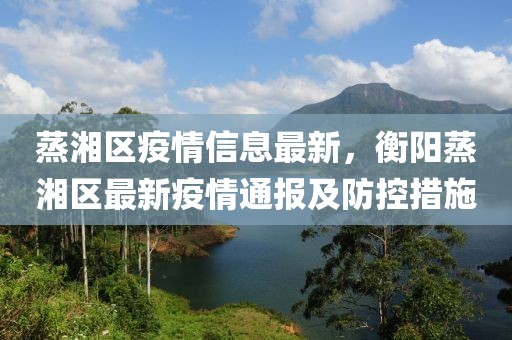 蒸湘区疫情信息最新，衡阳蒸湘区最新疫情通报及防控措施