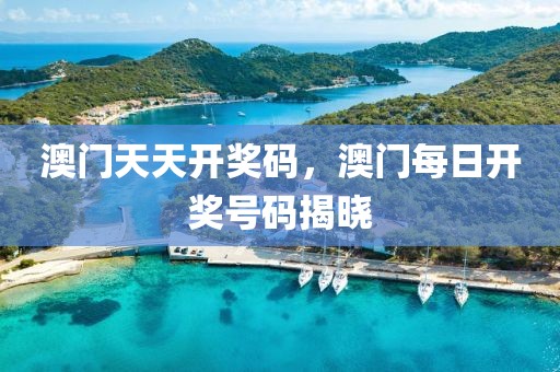 yao最新版本，Yao最新版本的特性、功能与应用场景详解