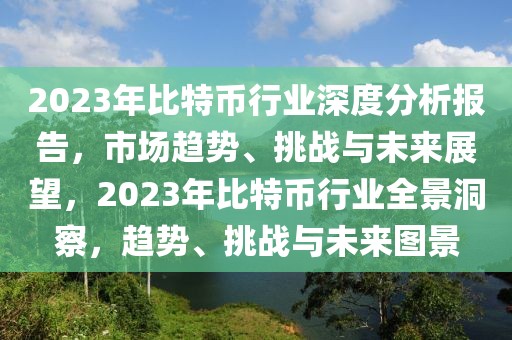 2023年比特币行业深度分析报告，市场趋势、挑战与未来展望，2023年比特币行业全景洞察，趋势、挑战与未来图景