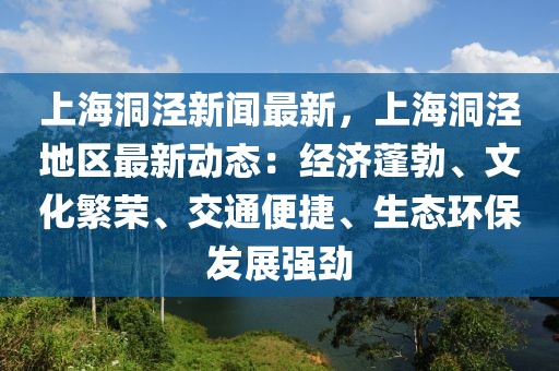 上海洞泾新闻最新，上海洞泾地区最新动态：经济蓬勃、文化繁荣、交通便捷、生态环保发展强劲