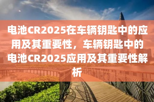 电池CR2025在车辆钥匙中的应用及其重要性，车辆钥匙中的电池CR2025应用及其重要性解析