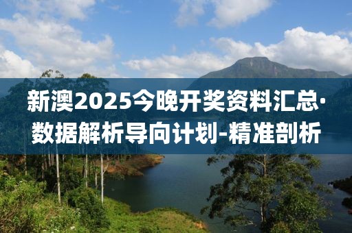 新澳2025今晚开奖资料汇总·数据解析导向计划-精准剖析