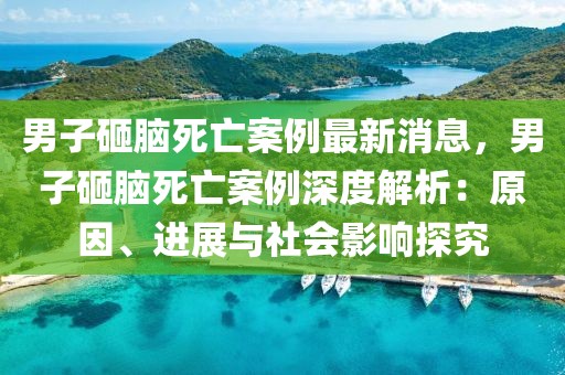 男子砸脑死亡案例最新消息，男子砸脑死亡案例深度解析：原因、进展与社会影响探究