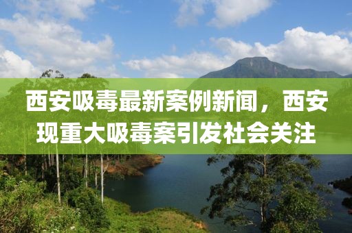 西安吸毒最新案例新闻，西安现重大吸毒案引发社会关注