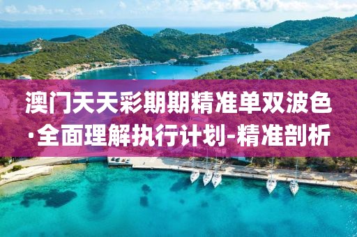 澳门天天彩期期精准单双波色·全面理解执行计划-精准剖析