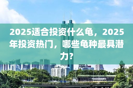 2025适合投资什么龟，2025年投资热门，哪些龟种最具潜力？