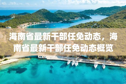 海南省最新干部任免动态，海南省最新干部任免动态概览