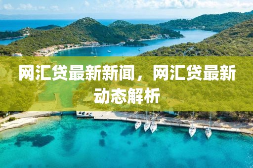 网汇贷最新新闻，网汇贷最新动态解析