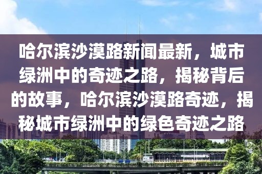 哈尔滨沙漠路新闻最新，城市绿洲中的奇迹之路，揭秘背后的故事，哈尔滨沙漠路奇迹，揭秘城市绿洲中的绿色奇迹之路