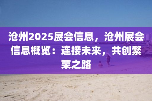 沧州2025展会信息，沧州展会信息概览：连接未来，共创繁荣之路