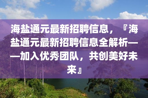 海盐通元最新招聘信息，『海盐通元最新招聘信息全解析——加入优秀团队，共创美好未来』