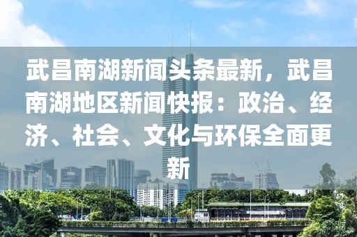 武昌南湖新闻头条最新，武昌南湖地区新闻快报：政治、经济、社会、文化与环保全面更新