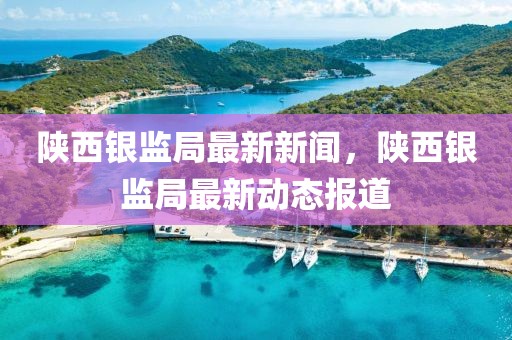 陕西银监局最新新闻，陕西银监局最新动态报道