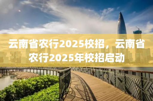 云南省农行2025校招，云南省农行2025年校招启动