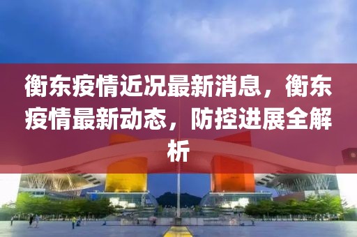 衡东疫情近况最新消息，衡东疫情最新动态，防控进展全解析