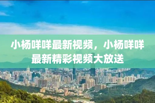 岚图梦想家2025款缓震，岚图梦想家2025款缓震技术深度解析：设计理念、技术创新与性能特点全解析