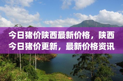 青岛摩托出售信息汇总，最新车型推荐与市场行情分析，青岛摩托市场，最新车型推荐与行情解析