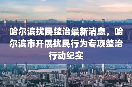 哈尔滨扰民整治最新消息，哈尔滨市开展扰民行为专项整治行动纪实