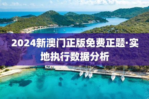 2024新澳门正版免费正题·实地执行数据分析