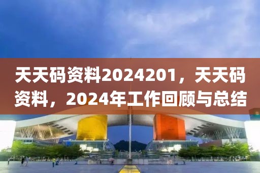 天天码资料2024201，天天码资料，2024年工作回顾与总结