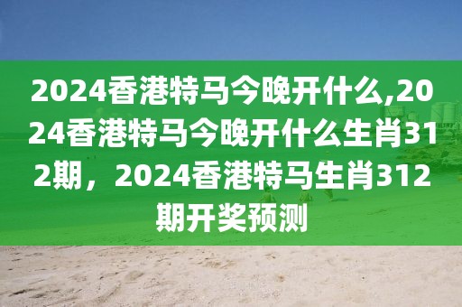 深度解析二十不惑最新剧集，青春成长路上的困惑与蜕变，二十不惑，青春蜕变之旅，深度解析成长困惑