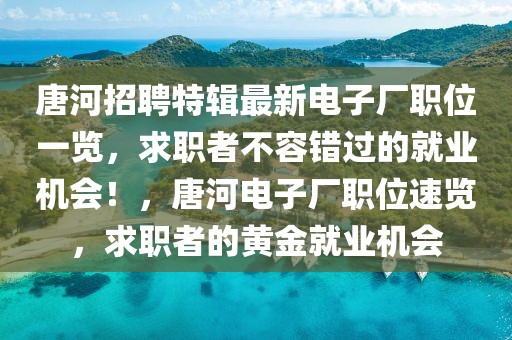 唐河招聘特辑最新电子厂职位一览，求职者不容错过的就业机会！，唐河电子厂职位速览，求职者的黄金就业机会